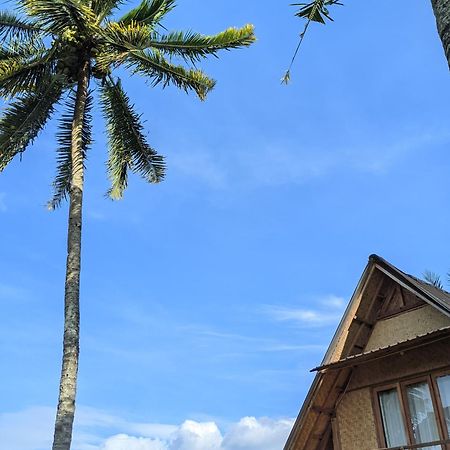 Dewi Rinjani Homestay Тетебату Экстерьер фото