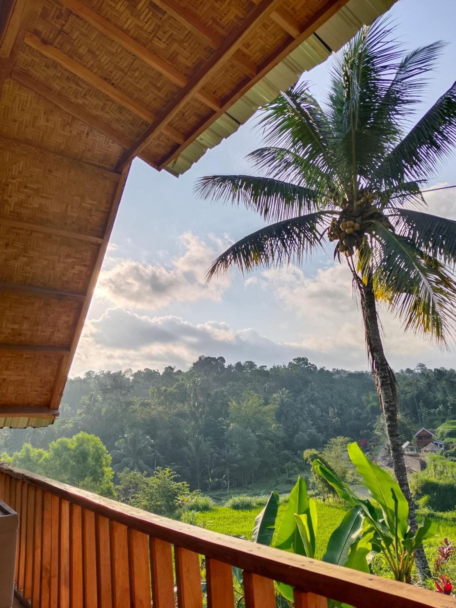 Dewi Rinjani Homestay Тетебату Экстерьер фото