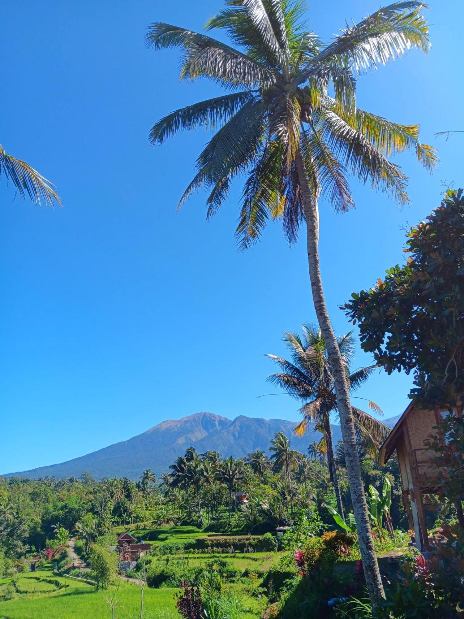 Dewi Rinjani Homestay Тетебату Экстерьер фото