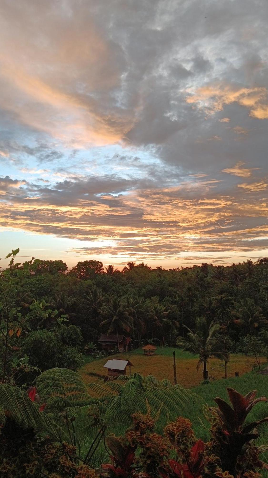 Dewi Rinjani Homestay Тетебату Экстерьер фото